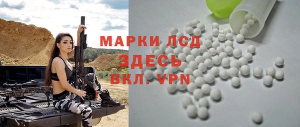 ПСИЛОЦИБИНОВЫЕ ГРИБЫ Сясьстрой