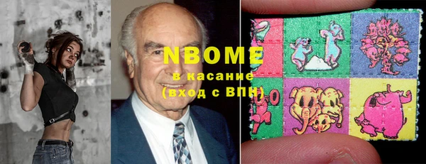 шишки Каменка
