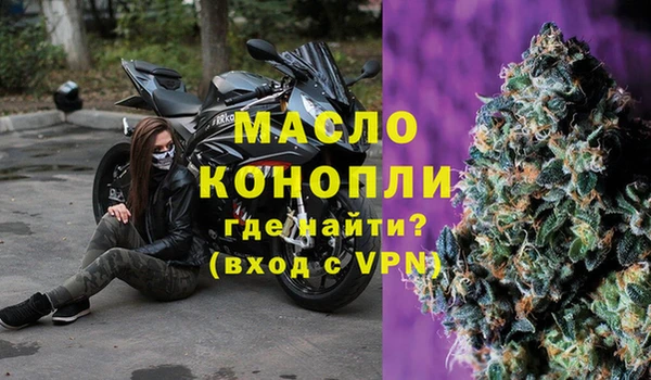 шишки Каменка