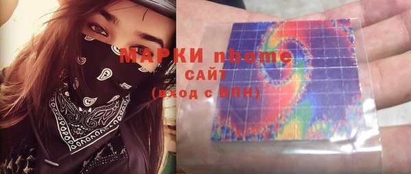 шишки Каменка