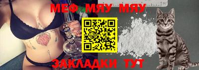 крисы Камышлов