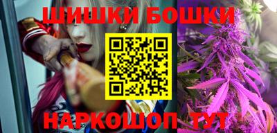 крисы Камышлов