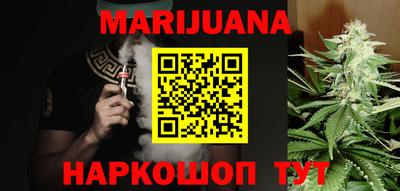 крисы Камышлов