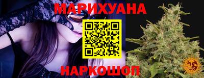 крисы Камышлов