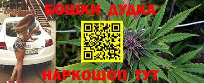 крисы Камышлов