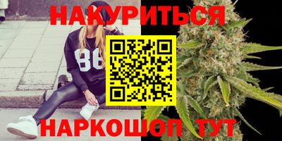 крисы Камышлов