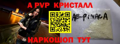 крисы Камышлов