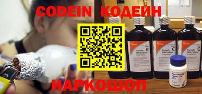 крисы Камышлов