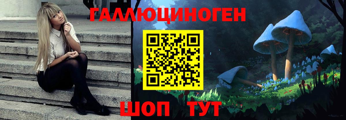Тамбов  Псилоцибиновые грибы GOLDEN TEACHER  Вход с VPN 